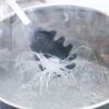 Laver sukiyaki