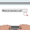 At få tilladelse fra dine forældre til at holde en hamster