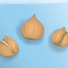 Plantning af tulipanløg