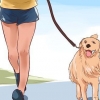 Elsker din hund