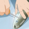 Rense fisk