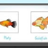 Fodring af fisk