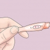Ved, om du er gravid
