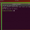 Brug af vin i linux