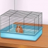 Få din hamster til at stole på dig