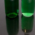 Drikke absint