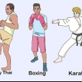 Kom godt i gang med mixed martial arts