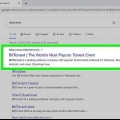 Brug af bittorrent
