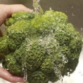 Forbered broccoli