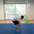 Laver burpees