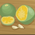 Calamondin planter