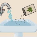 Plantning af cannabisfrø indendørs