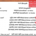 At tale almindelige ord på bengali