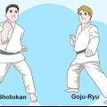 Forstå det grundlæggende i karate