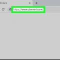 Download fra pirate bay