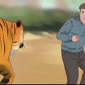 At overleve et tigerangreb
