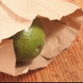 Modne en avocado