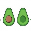 Dyrkning af en avocadoplante