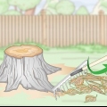 Afbrænding af en træstub