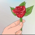 Fastgør en boutonniere