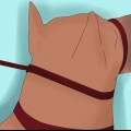 Træning af en doberman pinscher