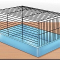 At tæmme en hamster