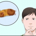 At få en hamster ud af dvale