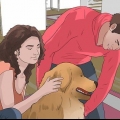 Hvordan man løfter en hund korrekt