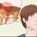 Gør en hund federe