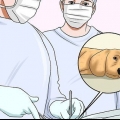 Hvordan man får en hund til at stoppe med at bide