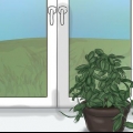 Få en hoya-plante til at blomstre