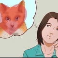 At få en kat som kæledyr