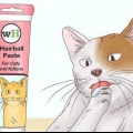 At hjælpe en kat med at hoste en hårbold op
