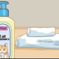 Badning af en kat med minimal skade