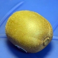 Modne en kiwi
