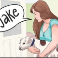 Lav et navn til din hvalp eller hund
