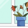 Redder en overgødet plante