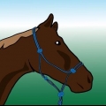 Børstning af en hest