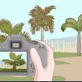 Fjern en palme