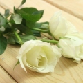 At lave en regnbuerose