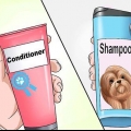 Vask en shih tzu-hvalp