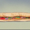 Bestil en subway sandwich