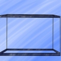 Installation af et ferskvandsakvarium