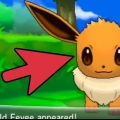 Eevee eevee til espeon eller umbreon