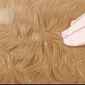 Fjern grubs