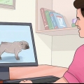 Opdræt med hunde