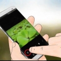 E-mail billeder med en smartphone