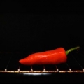 Laver harissa