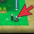 Træning af din pokémons ev