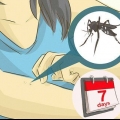 At tage sig af nogen med dengue